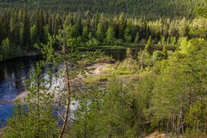 Finnland - ein Trek durch die Einsamkeit