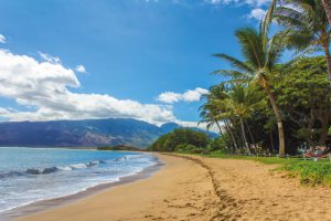 Maui - das Ziel für den unvergesslichen Inseltrek