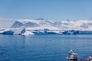 Antarktis - den weißen Kontinent erleben