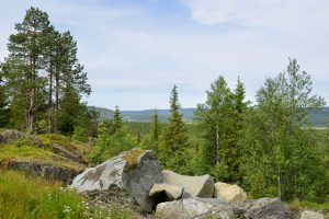 Finnland Trek - Entlang der Bärenrunde