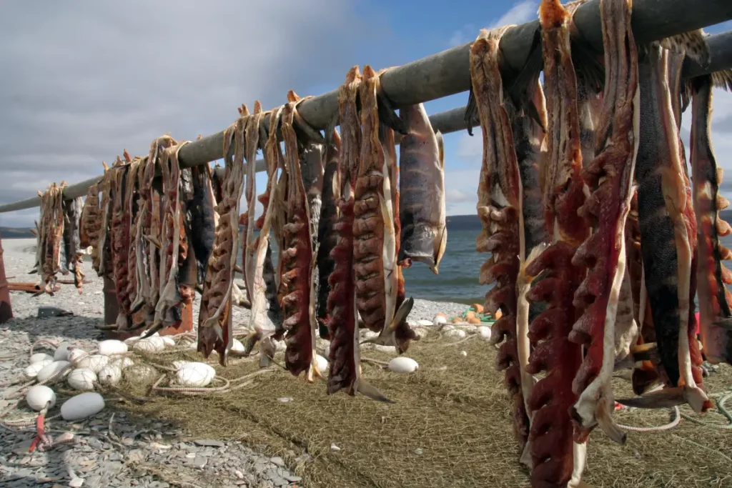 Getrockneter Fisch bei den Eskimos in Alaska
